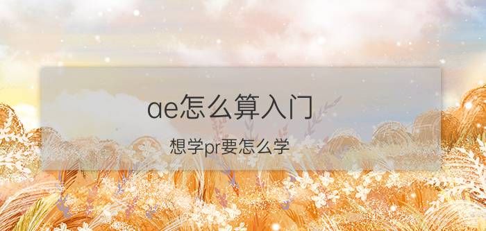 ae怎么算入门 想学pr要怎么学？一般要学多久？